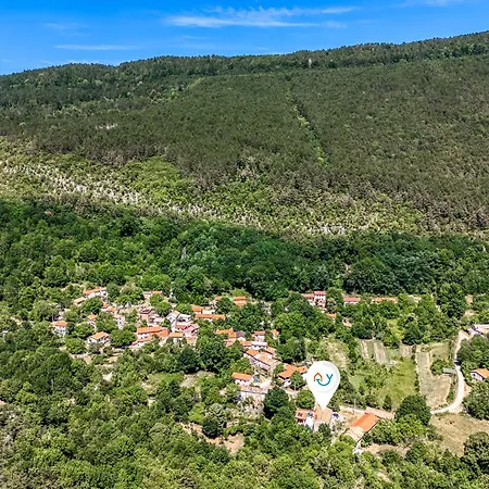 Stone Galant With Pool - Happy