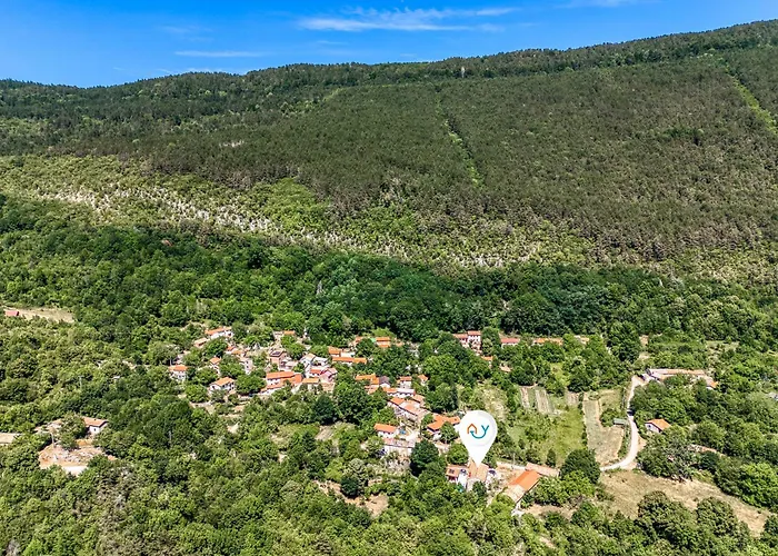 Stone Galant With Pool - Happy *